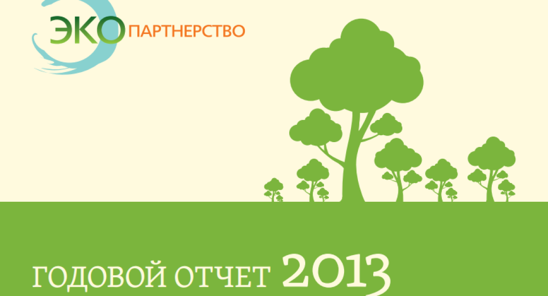 Годовой отчёт организации (2013)