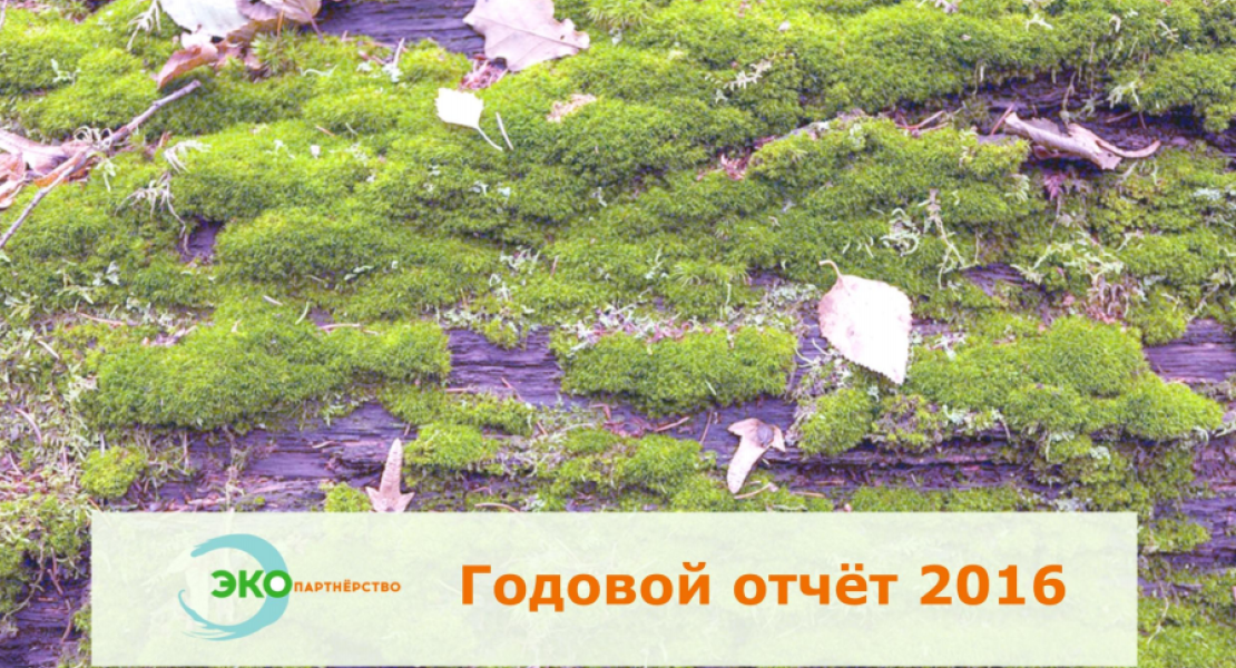 Годовой отчёт организации (2016)
