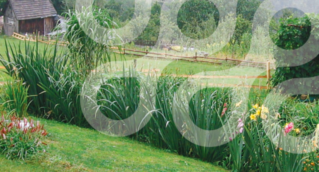 Грунтово-растительная площадка для очистки сточных вод