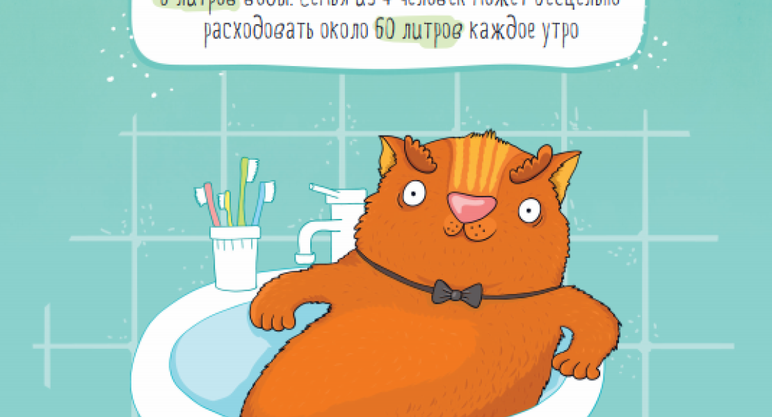 Даже кот знает